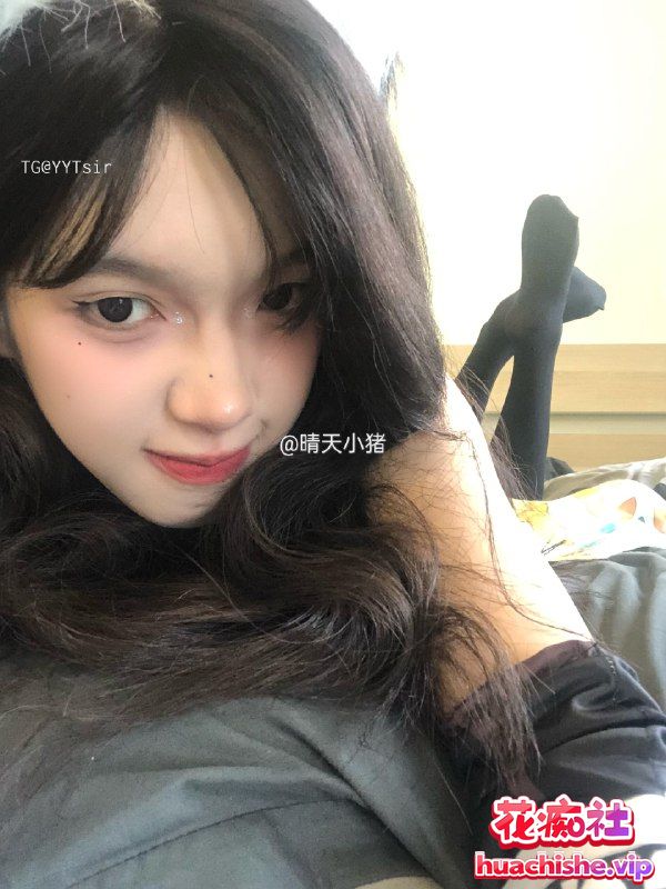 晴天小猪本猪